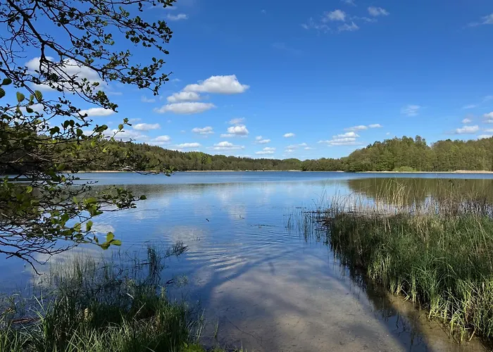 Kaszubska Nirvana - Caloroczny Dom Na Wylacznosc Z Jacuzzi * Stare Czaple