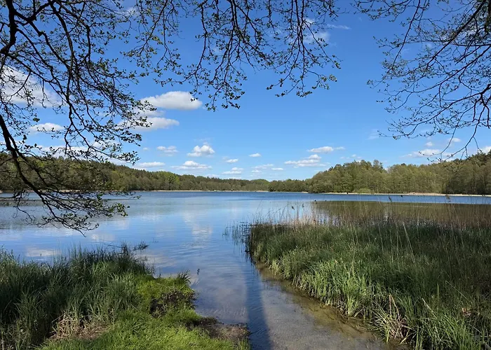 Kaszubska Nirvana - Caloroczny Dom Na Wylacznosc Z Jacuzzi *